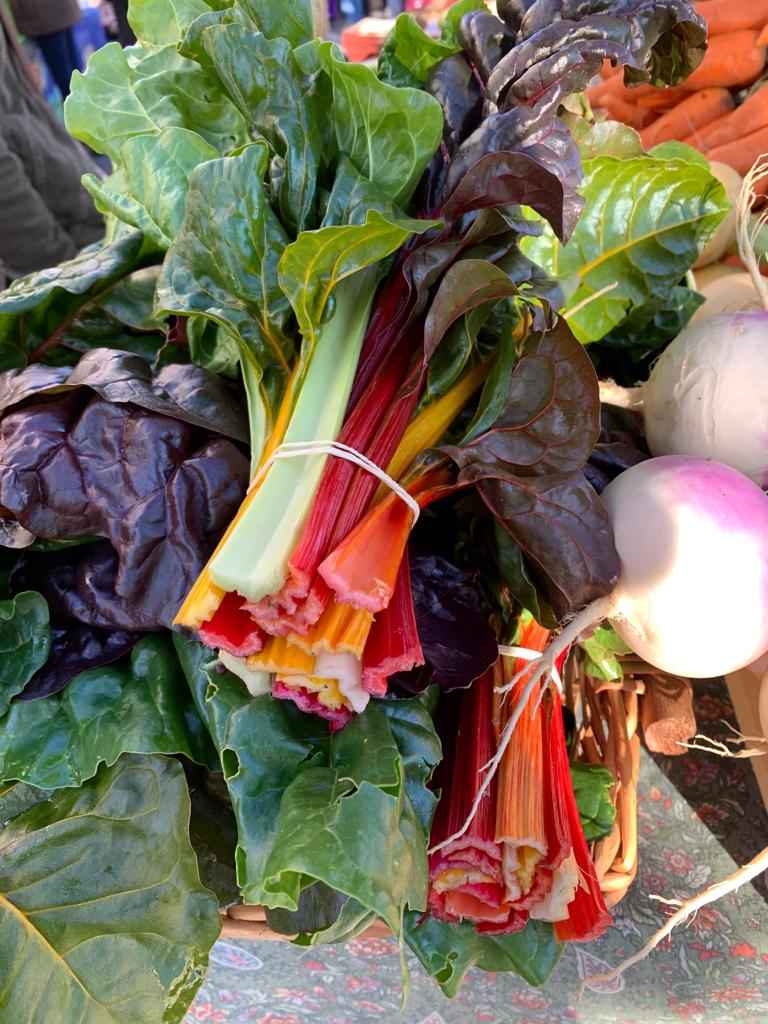 Colourful display of chard