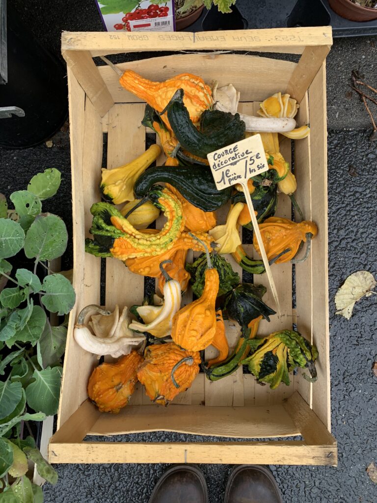 Decorative vegetables at a French market