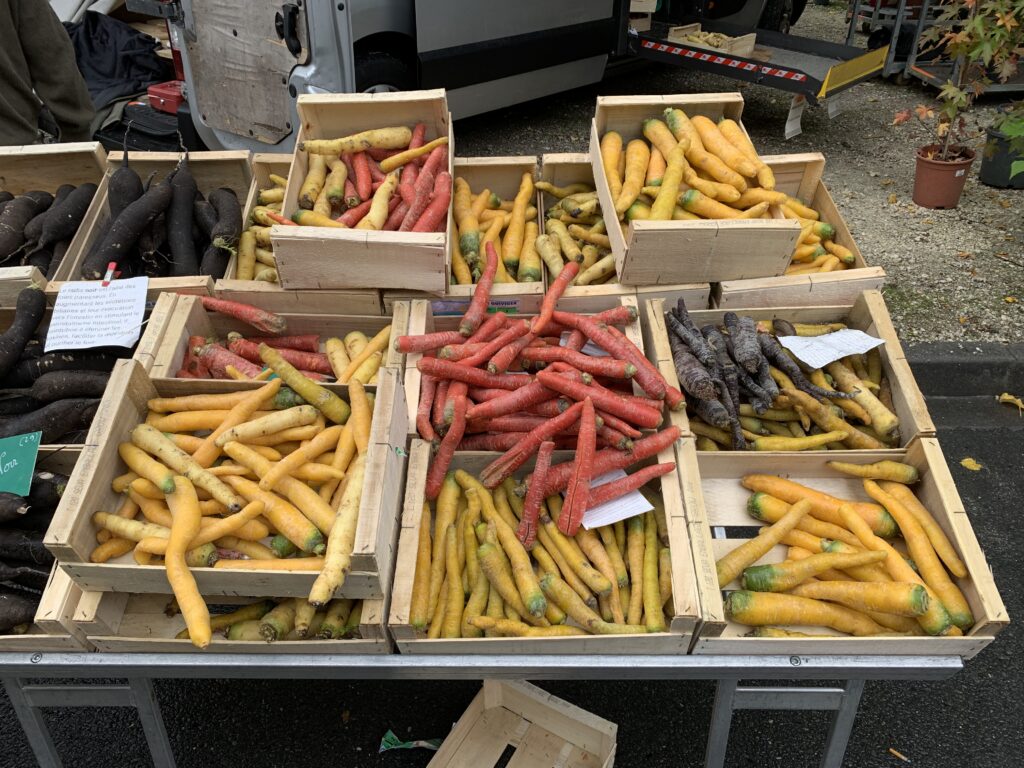 Colourful carrots at a French market