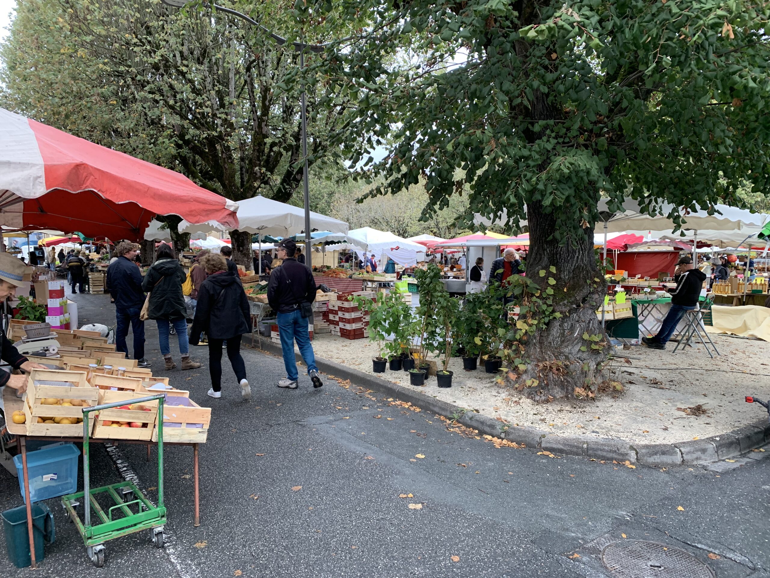 French market scene