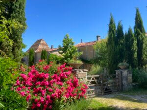Peaceful rural Gîte holidays surrounded by nature in Charente France
